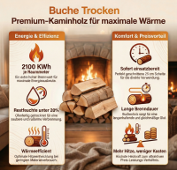 Buche trocken 25 cm - SRM