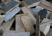 Buche frisch 25 cm - RM