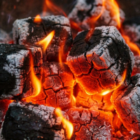 Rekord Kohle Briketts - Palette Tüte 900 kg