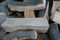 Buche frisch 50 cm - RM