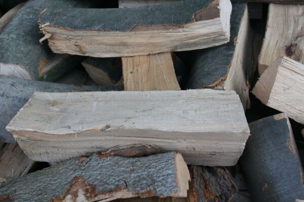 Buche trocken 50 cm - RM